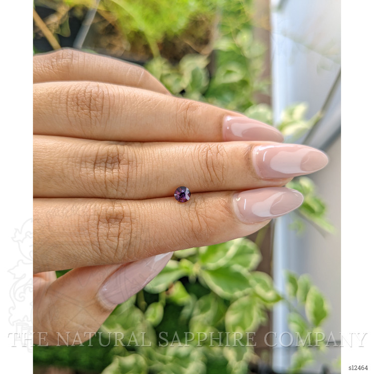 0.42 Ct. Purple Sapphire from Ceylon (Sri Lanka)
