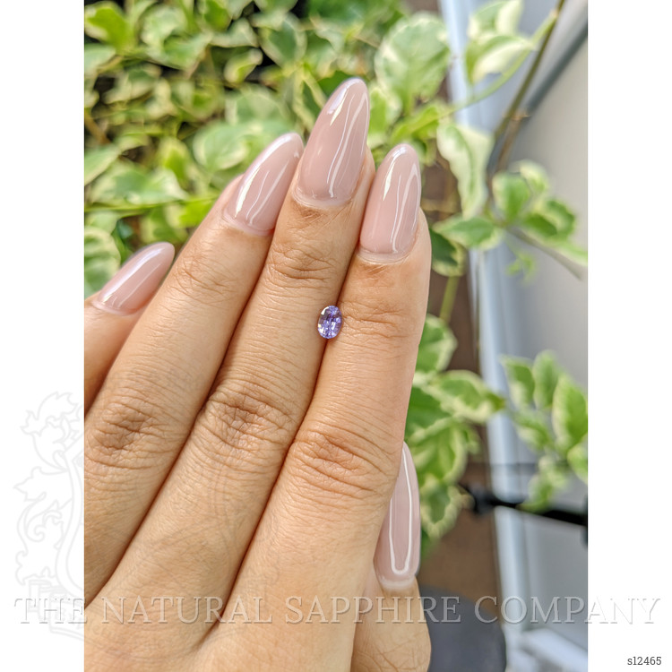 0.42 Ct. Purple Sapphire from Ceylon (Sri Lanka)