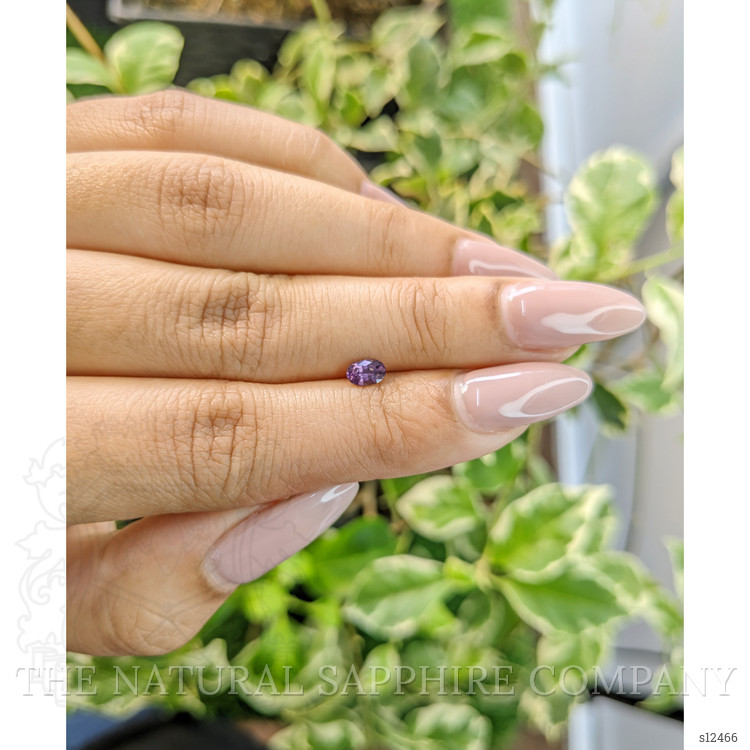 0.33 Ct. Purple Sapphire from Ceylon (Sri Lanka)