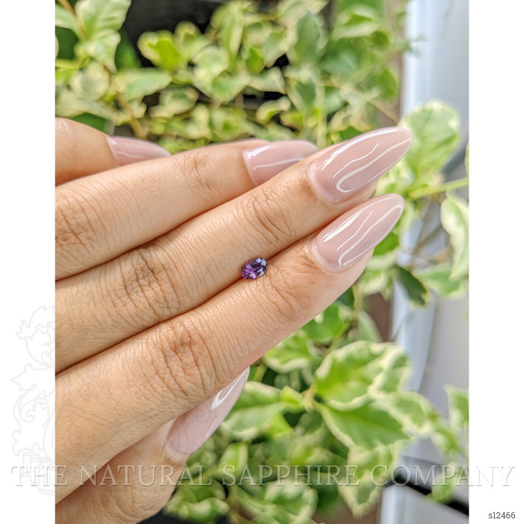 0.33 Ct. Purple Sapphire from Ceylon (Sri Lanka)
