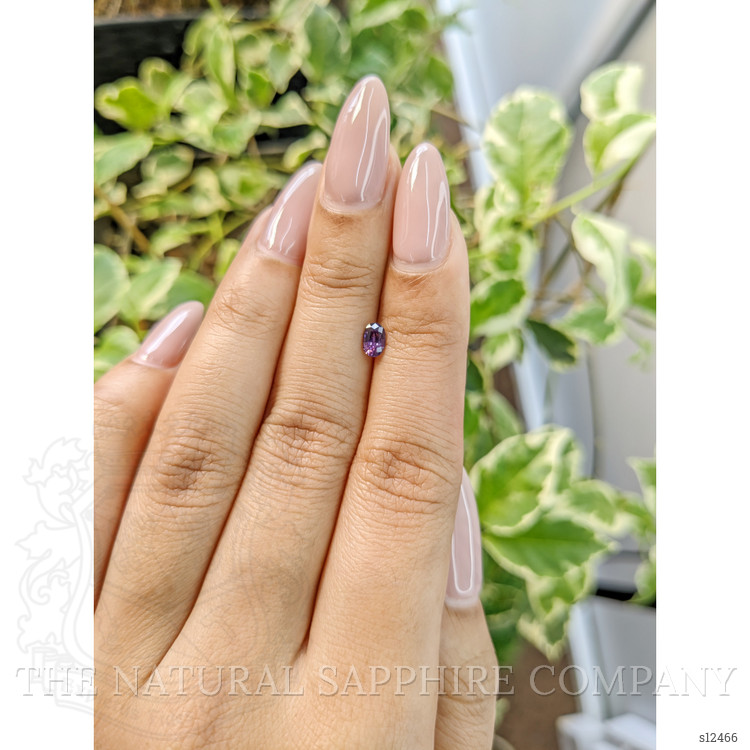 0.33 Ct. Purple Sapphire from Ceylon (Sri Lanka)