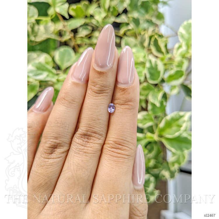 0.33 Ct. Purple Sapphire from Ceylon (Sri Lanka)