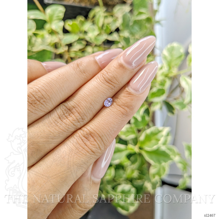 0.33 Ct. Purple Sapphire from Ceylon (Sri Lanka)