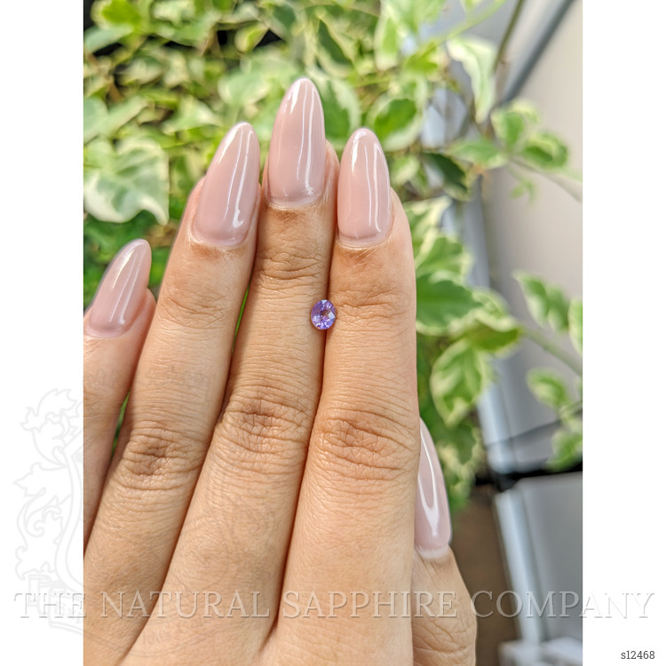 0.35 Ct. Purple Sapphire from Ceylon (Sri Lanka)