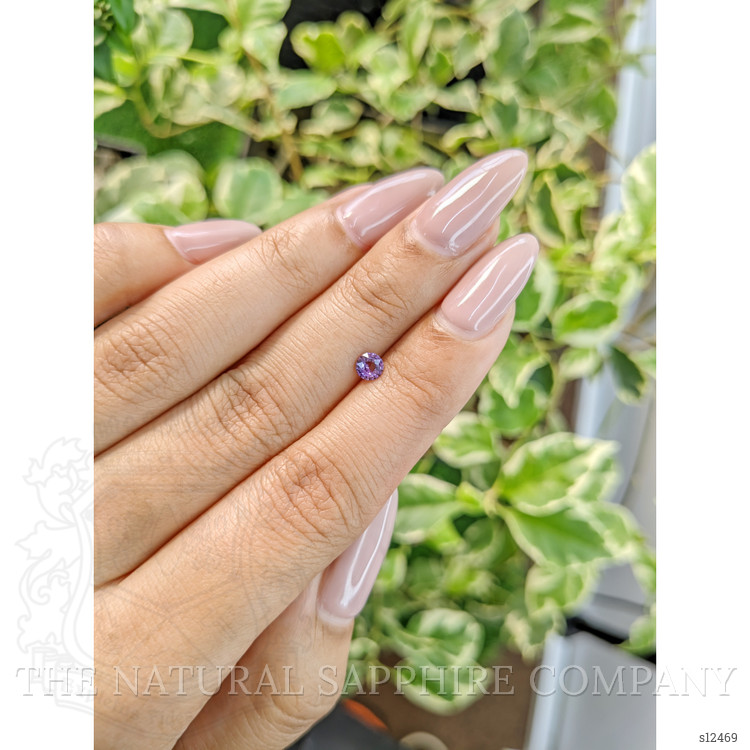 0.34 Ct. Purple Sapphire from Ceylon (Sri Lanka)