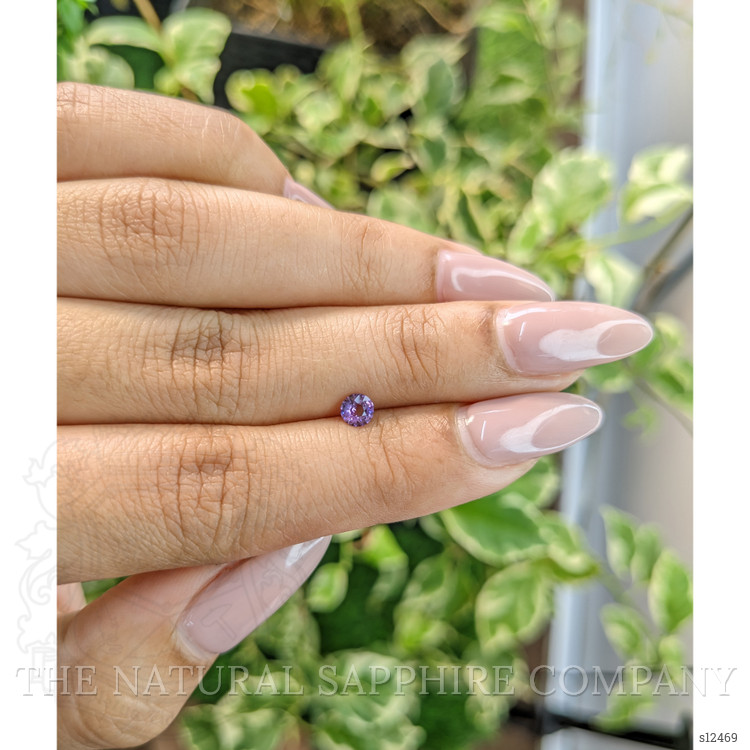0.34 Ct. Purple Sapphire from Ceylon (Sri Lanka)