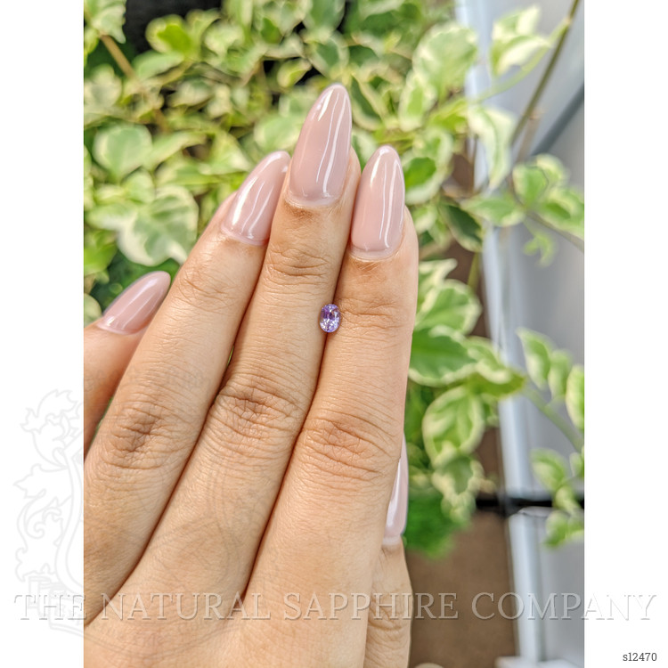 0.33 Ct. Purple Sapphire from Ceylon (Sri Lanka)