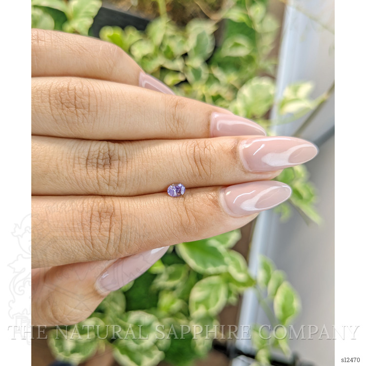 0.33 Ct. Purple Sapphire from Ceylon (Sri Lanka)