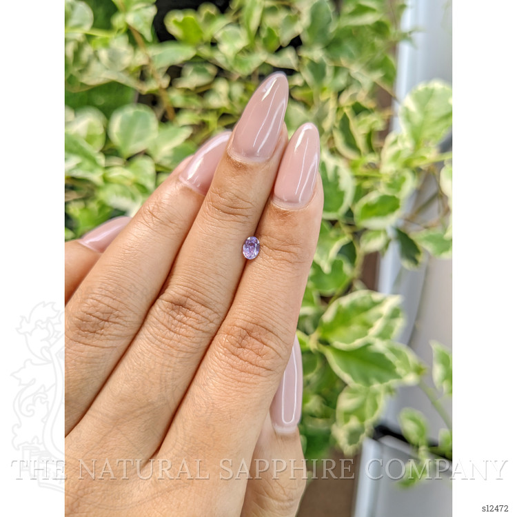 0.33 Ct. Purple Sapphire from Ceylon (Sri Lanka)