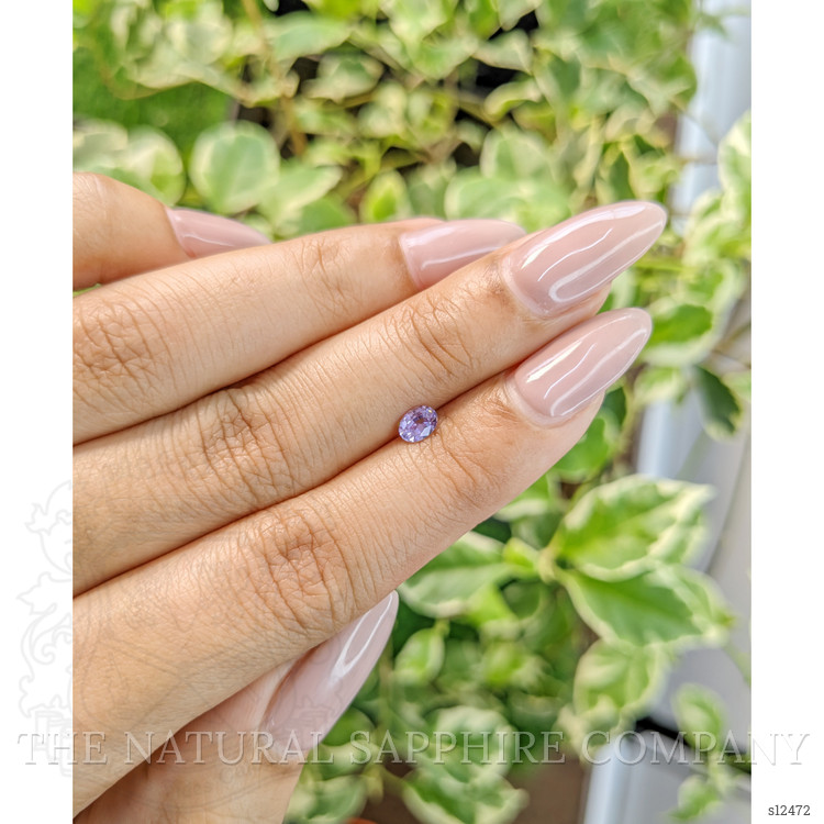 0.33 Ct. Purple Sapphire from Ceylon (Sri Lanka)