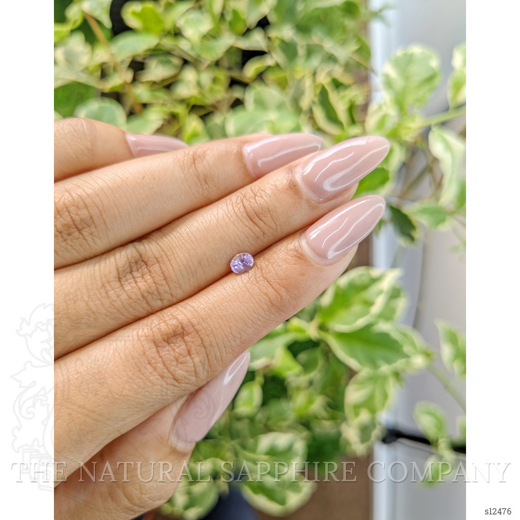 0.37 Ct. Violet Sapphire from Ceylon (Sri Lanka)