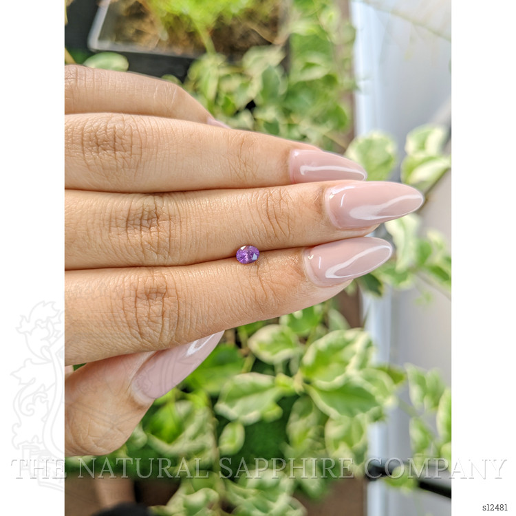 0.39 Ct. Purple Sapphire from Ceylon (Sri Lanka)