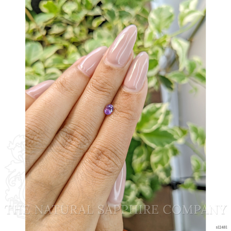 0.39 Ct. Purple Sapphire from Ceylon (Sri Lanka)