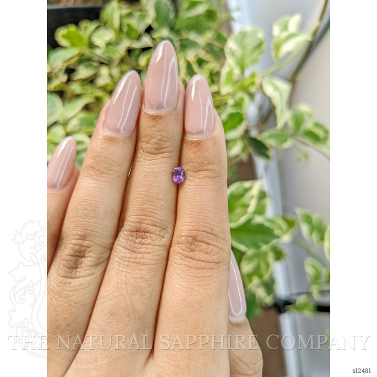 0.39 Ct. Purple Sapphire from Ceylon (Sri Lanka)
