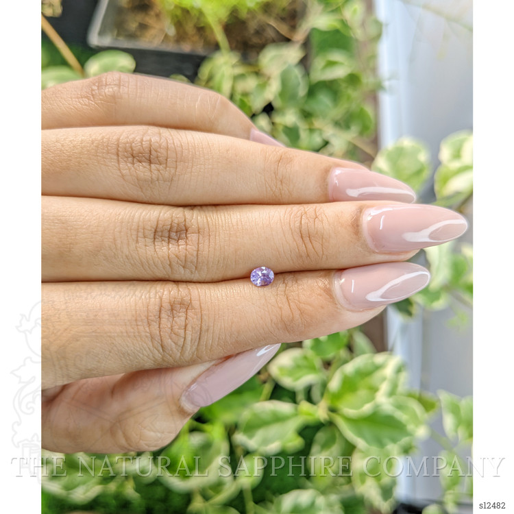 0.32 Ct. Purple Sapphire from Ceylon (Sri Lanka)