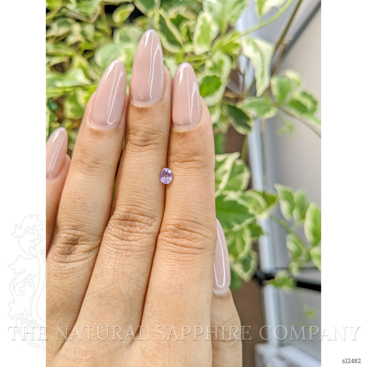 0.32 Ct. Purple Sapphire from Ceylon (Sri Lanka)