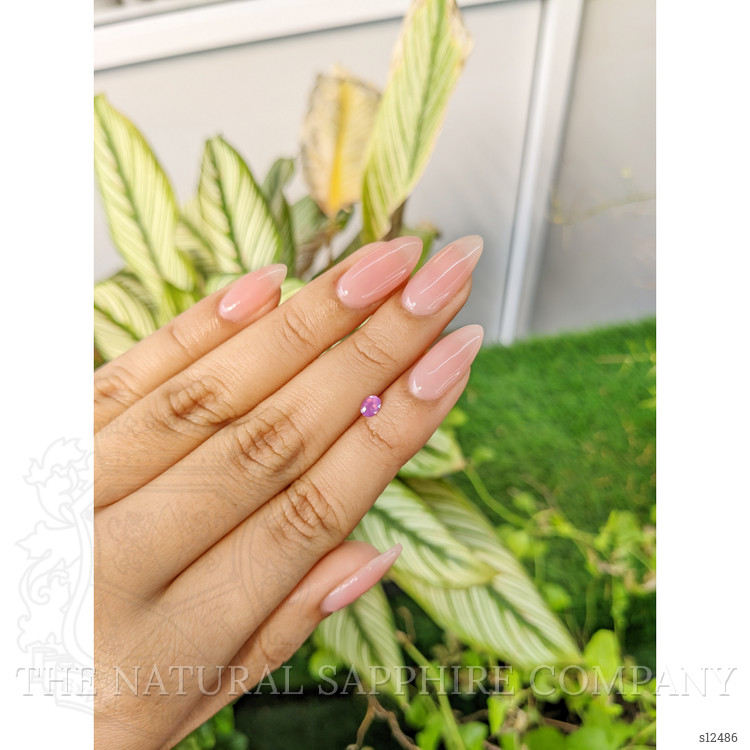 0.26 Ct. Purplish Pink Sapphire from Ceylon (Sri Lanka)