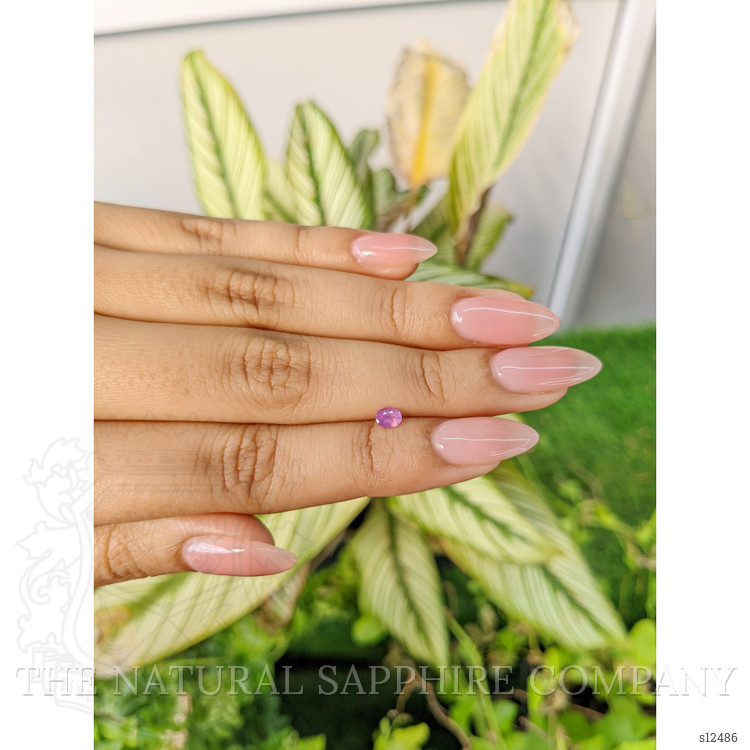 0.26 Ct. Purplish Pink Sapphire from Ceylon (Sri Lanka)