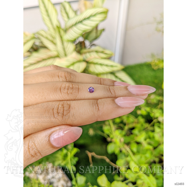 0.22 Ct. Purple Sapphire from Ceylon (Sri Lanka)