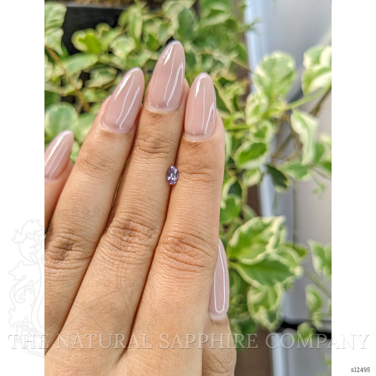 0.30 Ct. Purple Sapphire from Ceylon (Sri Lanka)