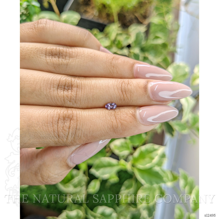 0.30 Ct. Purple Sapphire from Ceylon (Sri Lanka)