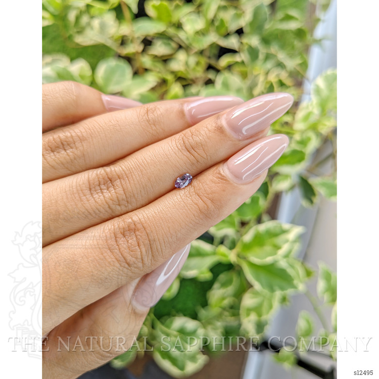 0.30 Ct. Purple Sapphire from Ceylon (Sri Lanka)