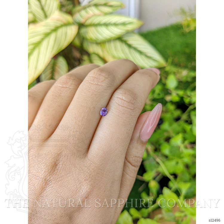 0.27 Ct. Purple Sapphire from Ceylon (Sri Lanka)