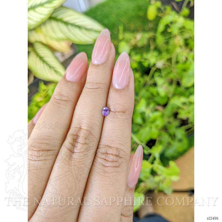 0.27 Ct. Purple Sapphire from Ceylon (Sri Lanka)