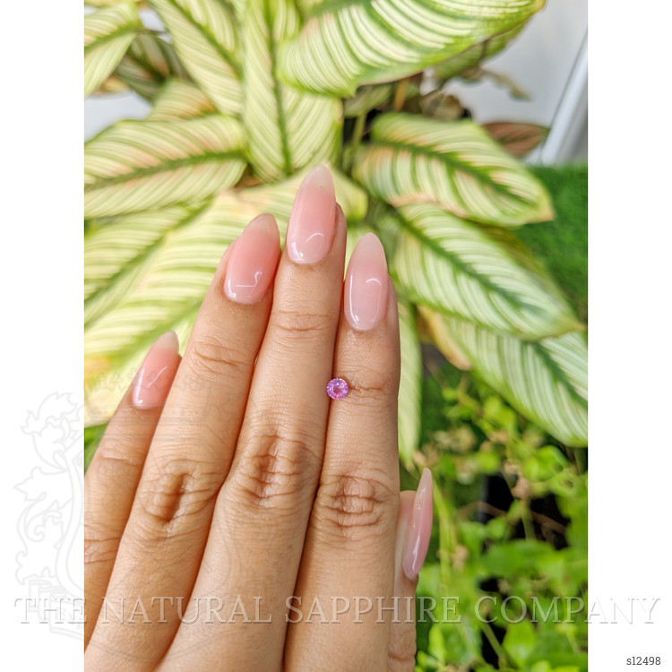 0.24 Ct. Pink Sapphire from Ceylon (Sri Lanka)