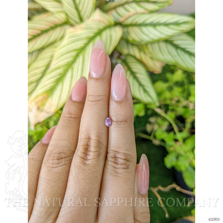 0.27 Ct. Pinkish Purple Sapphire from Ceylon (Sri Lanka)