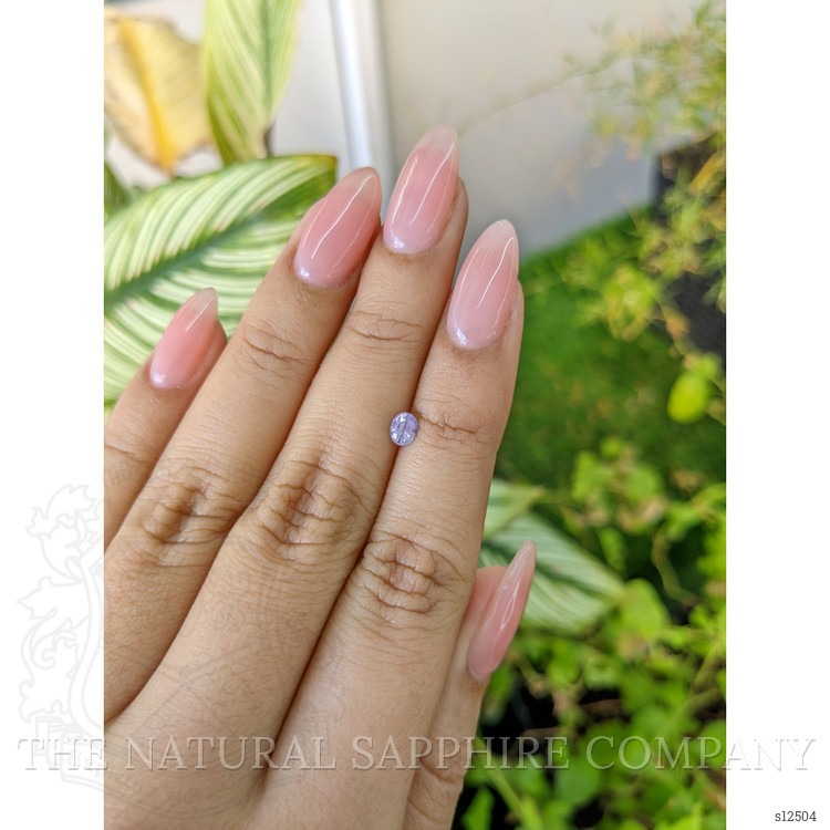 0.31 Ct. Purple Sapphire from Ceylon (Sri Lanka)