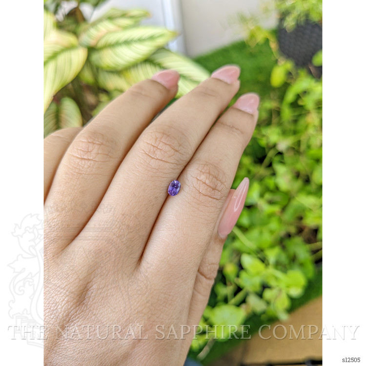 0.32 Ct. Purple Sapphire from Ceylon (Sri Lanka)
