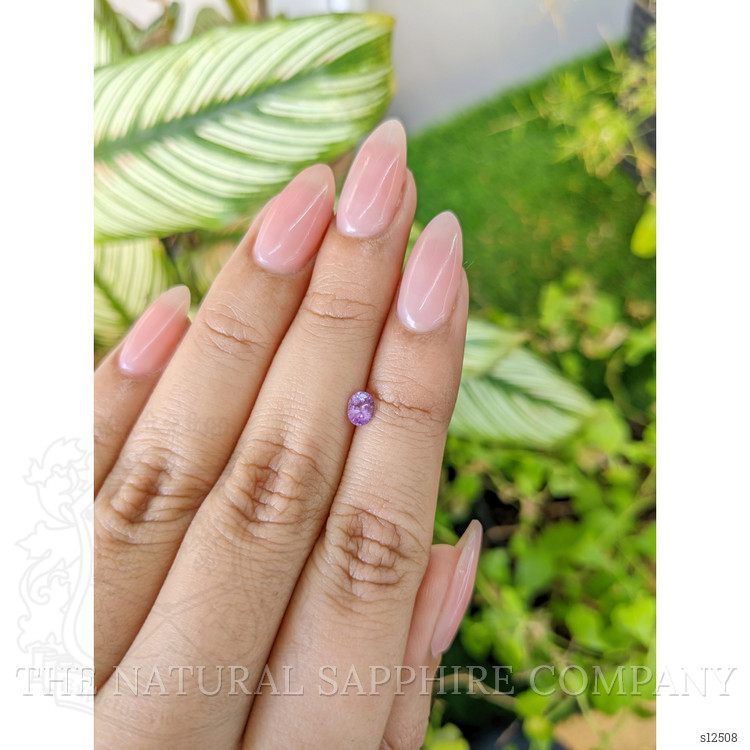 0.34 Ct. Purple Sapphire from Ceylon (Sri Lanka)