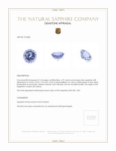 6.79 Ct. Sapphire from Ceylon (Sri Lanka) Appraisal