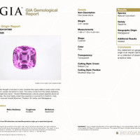 2.87 Ct. Pink Sapphire from Madagascar Pdf