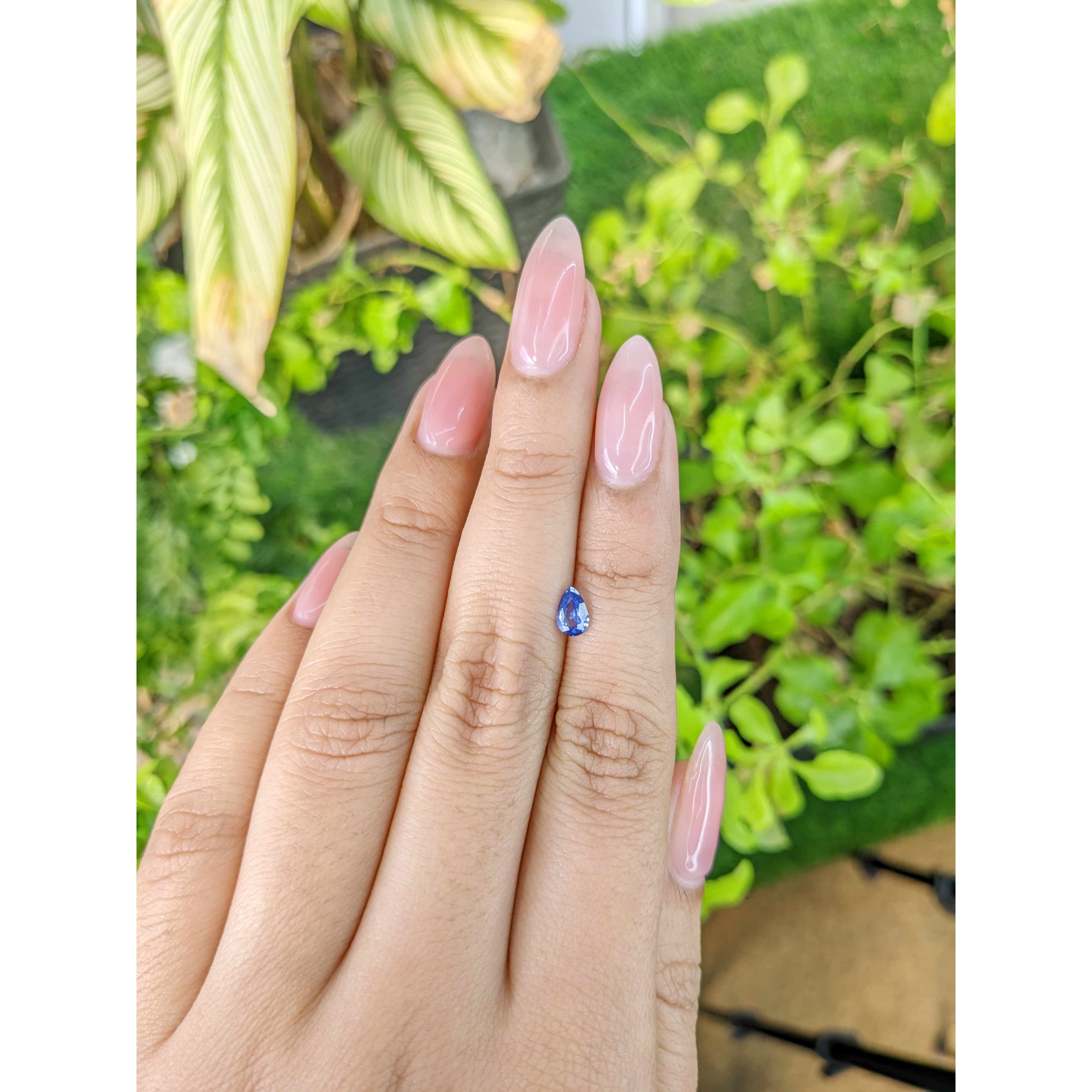 Loose Blue Sapphire - Pear 0.34 Ct. - #S12588 | The Natural