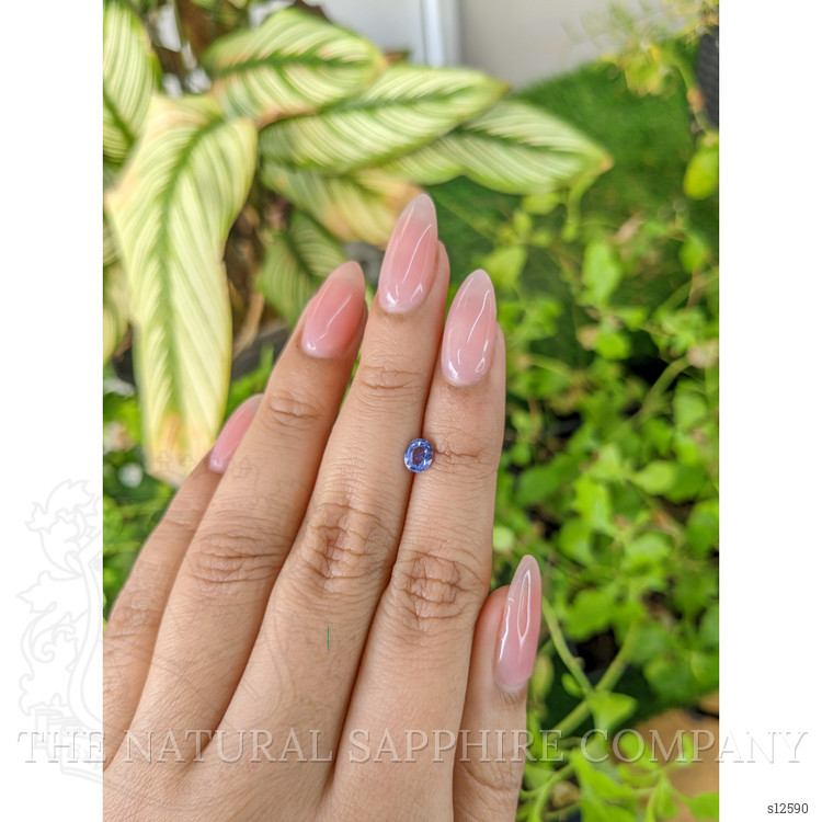 0.46 Ct. Blue Sapphire from Ceylon (Sri Lanka)