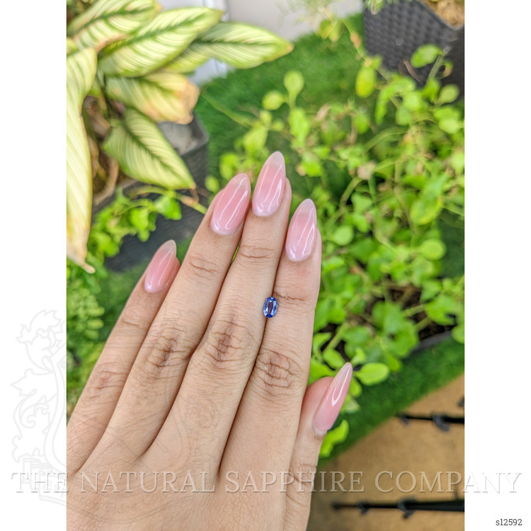 0.41 Ct. Blue Sapphire from Ceylon (Sri Lanka)