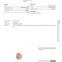 6.20 Ct. Peach Sapphire from Ceylon (Sri Lanka) Scan Report
