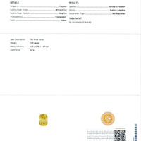 Jewelry Scan Report