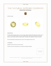 3.26 Ct. Sapphire from Ceylon (Sri Lanka) Appraisal