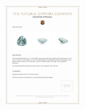 1.13 Ct. Greenish Blue Sapphire from Montana Appraisal