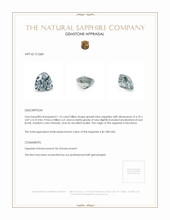 1.16 Ct. Greyish Blue Sapphire from Montana Appraisal