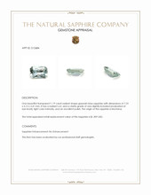 Jewelry Appraisal