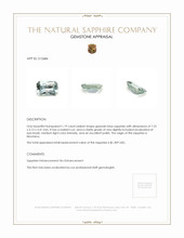 Jewelry Appraisal