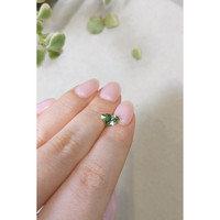 1.19 Ct. Green Sapphire from Montana Life Style