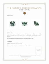1.21 Ct. Bluish Green Sapphire from Montana Appraisal