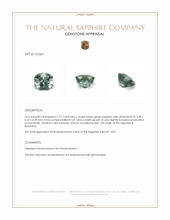 1.21 Ct. Bluish Green Sapphire from Montana Appraisal