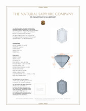Jewelry 3 D Scan Report