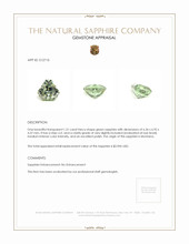 Jewelry Appraisal